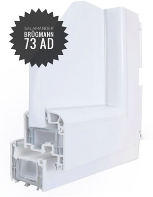 salamander_brgmann_ad_73